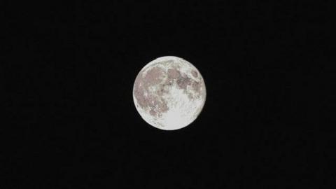 A clear mid shot of the moon in bright white with brown craters on its surface