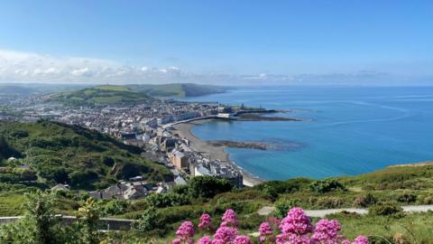 View of curved coastline from above showing sea, houses, trees and pink flowers