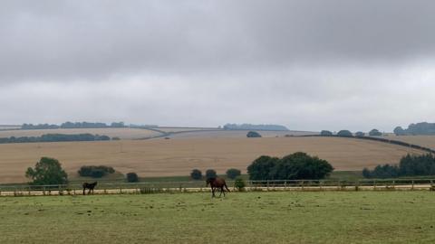 A picture taken across the Wolds on a cloudy day.  A horse trots through a field immediately in front of the camera and the fields stretch up the hills behind.