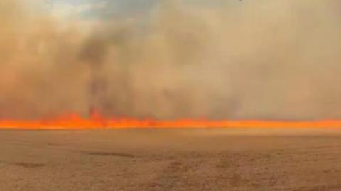 A field with a long line of orange fire on the horizon with black smoke rising from it. 