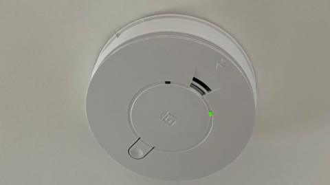 A plastic circular carbon monoxide detector on a white painted ceiling. There is some vents in it and a button. There is also a small green light. 