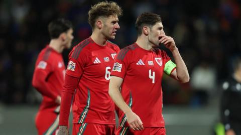 Joe Rodon and Ben Davies show their disappointment after Iceland's comeback 