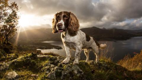 max on a hilltop