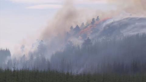 Crews and six fire engines were sent to the Daviot area, near the Auchnahillin Holiday Park.