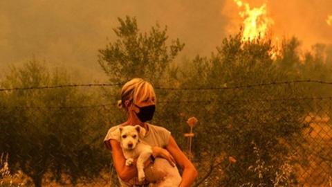 Woman holds dog as wildfires rage behind her in Greece