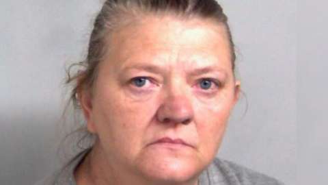 Custody image of Diane Wake