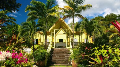 A tropical garden and plantation on St. Kitts