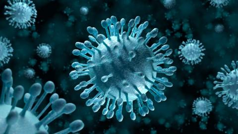 Hepatitis C virus