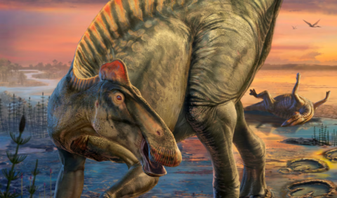 An updated artists impression of the duck-billed dinosaur Edmontosaurus  