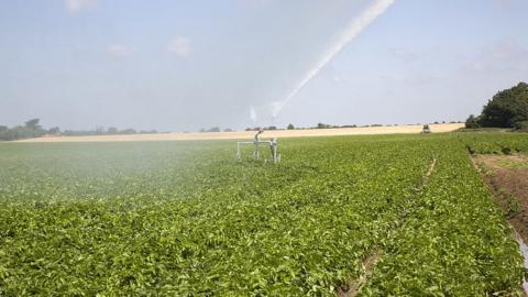 Irrigator