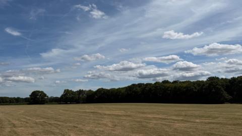 Patchy and wispy cloud above dry grassland surrounded by trees 