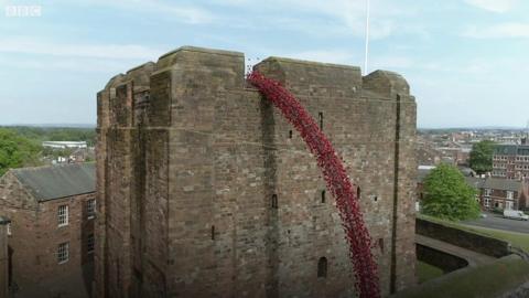 Poppies