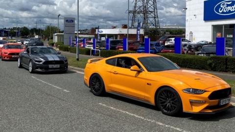 Mustangs on a road