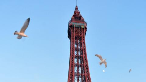 birds fly by Blackpool Tower