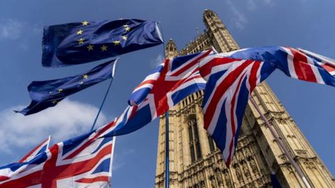 Flags outside Parliament