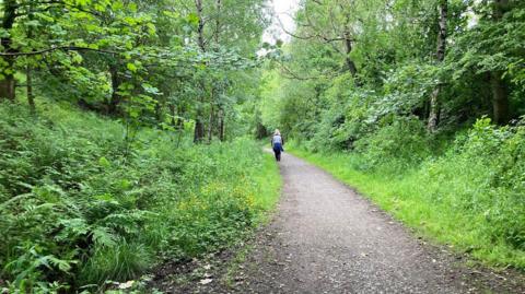 Shot of rural path with two pedestrians walking along it in the distance. One is wearing a blue top and blue trousers. There are trees and hedges all along the sides. 
