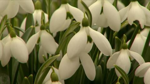 More than 100 varieties are in bloom at a country estate as it prepares to welcome back guests.