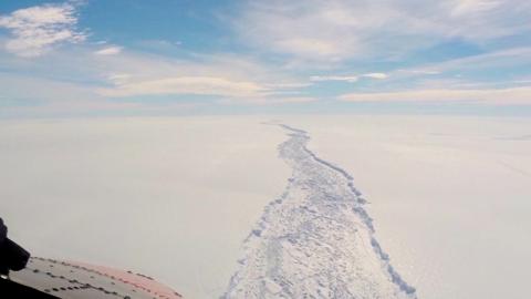 Larsen C