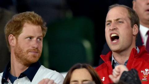 Y Tywysogion Harry a William