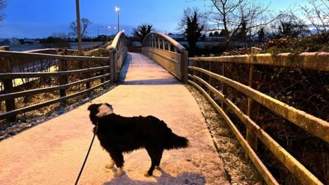 Dog walker in front of a snowy bridge