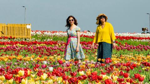 Two people wearing summery dresses walk through a field of colourful tulips as they enjoy the sunny day at Farmer Copleys Tulip Festival in Pontefract, West Yorkshire on 30 April.