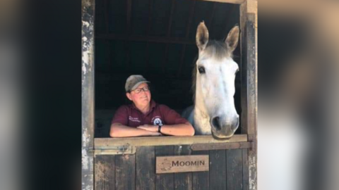 Jayne Hunt standing next to a white horse. She is wearing glasses, a hat and a burgundy polo shirt. Her arms are on top of a stable door and she is looking at the horse.