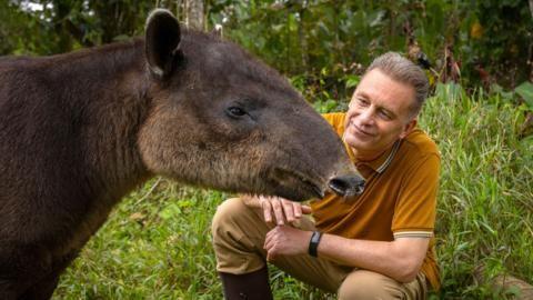 Chris Packham and a tapir