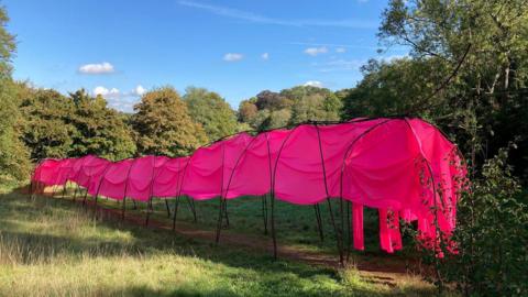 Large pink sheets shaped to look like a caterpillar, it has black rods running through it and is placed in long grass. 