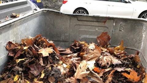 Garden waste in a communal landfill bin