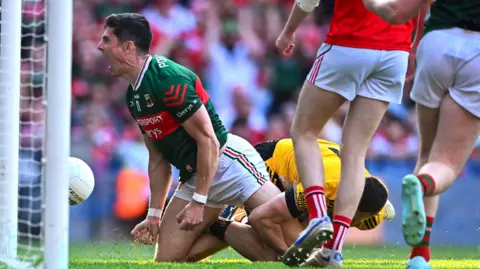 Mayo celebrating 
