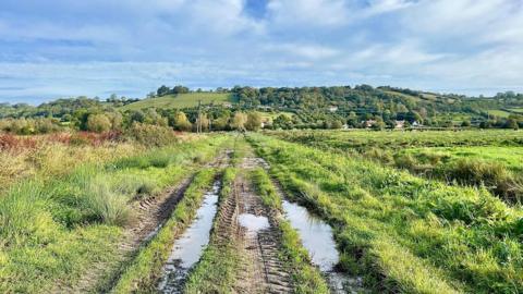 Muddy puddles sit in vehicle tracks across a field with trees and a hill sloping upwards to the horizon. The sky is bright blue and also full of fluffy white clouds.