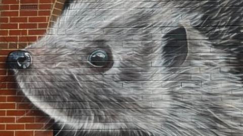 The hedgehog mural at the High Chelmer shopping centre in Chelmsford