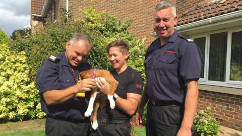 Kent fire crews with the puppy they rescued