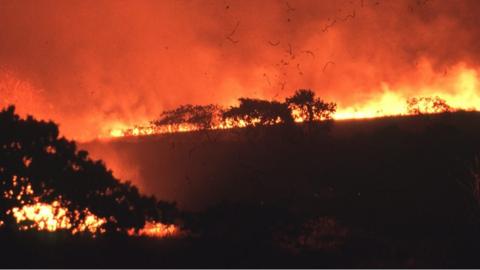 Savanna fire in Brazil