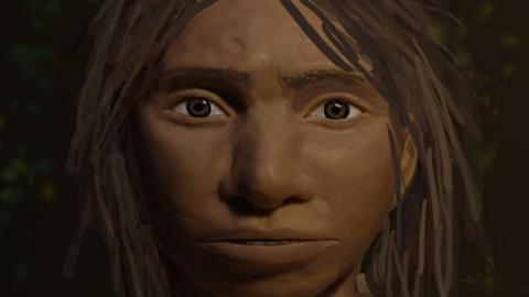 Reconstruction of a Denisovan