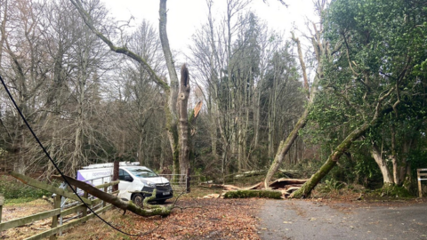 Trees down at Aboyne