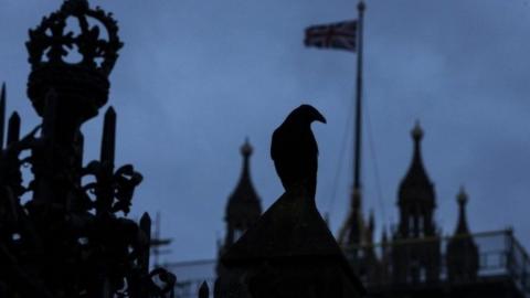 A sihouette of a crow outside the Palace of Westminster