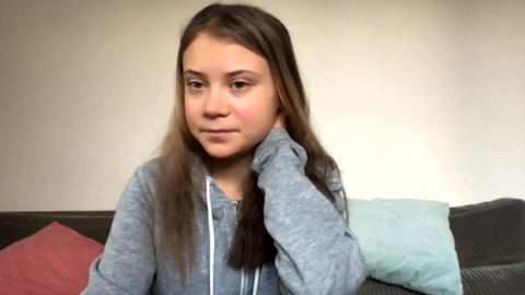 Greta Thunberg speaking to the BBC from her home in Sweden.