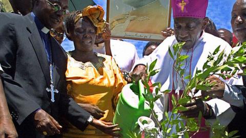 Ndingi Mwana a' Nzeki (R) waters an Olive Tree planted in memory of the late Pope John Paul II as 2005 Nobel Prize Laureate, Wangari Maathai (2nd-L) watches 07 April 2005, during a ceremony at Nairobi's Uhuru park