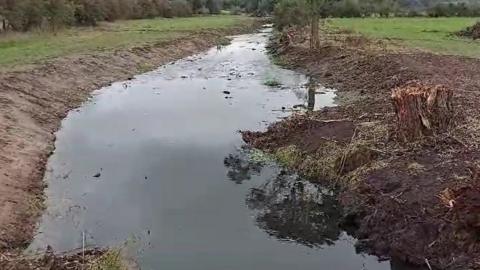 Damage to the banks of the River Swarbourn