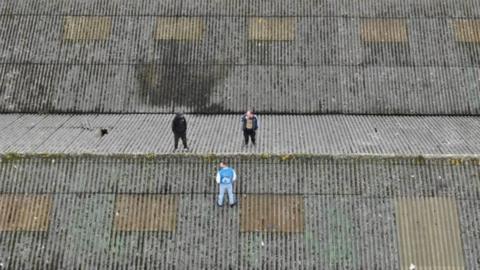 men on roof of cannabis factory.