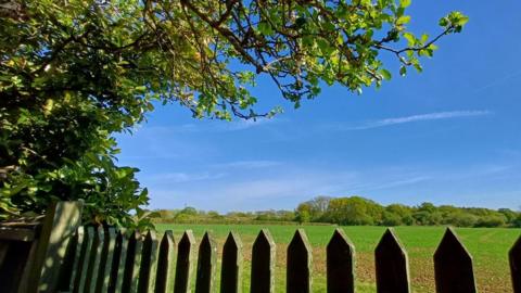 A fence and a green tree in front of a green field, with trees and bright blue sky behind 