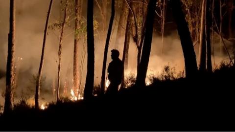 Portugal wildfires