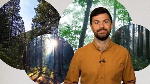 Reality Check's Jack Goodman against a backdrop of images of different types of forests