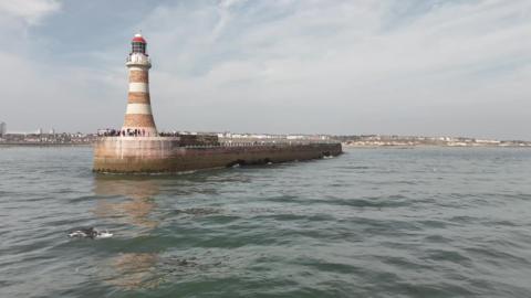 A lighthouse sits on top of a circular, curved stone and brick pier, which is surrounded by the sea. People can be seen standing on the pier. It is a sunny day and there is a dolphin in the water.