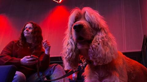 A dog and its owner wait by a theatre stage for their turn to audition, red florescent lights shine along the back wall