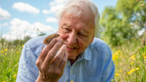 Sir David Attenborough holding and admiring a harvest mouse on his hand.