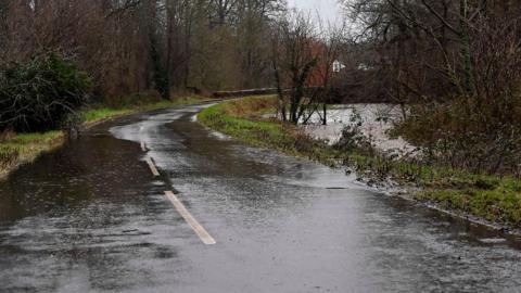 A flooded country road with standing water and nearby river overflowing into surrounding trees.