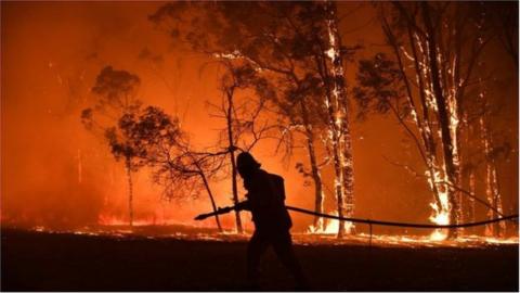 Australian firefighter