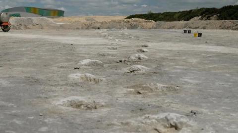 A single track of large dinosaur footprints - like big craters in the ground trail off into the distance in a quarry of whitish-grey sandy rock, clearly showing that a large dinosaur has walked that way. In the distance stand three black and one yellow bucket, suggesting people have been working on the side. A raised bluff of dark green vegetation borders the quarry on one side off in the distance to the right.